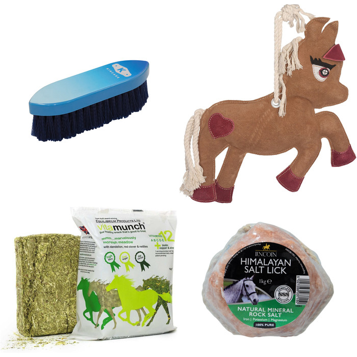 2022 Treat Your Horse Bundle TYHB22 Horse Gifts & Treats Treats